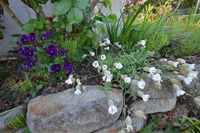 自然と暮らす暮らし