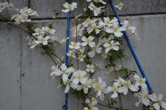 自然と暮らす暮らし