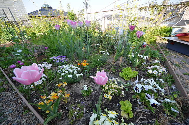 自然と暮らす暮らし