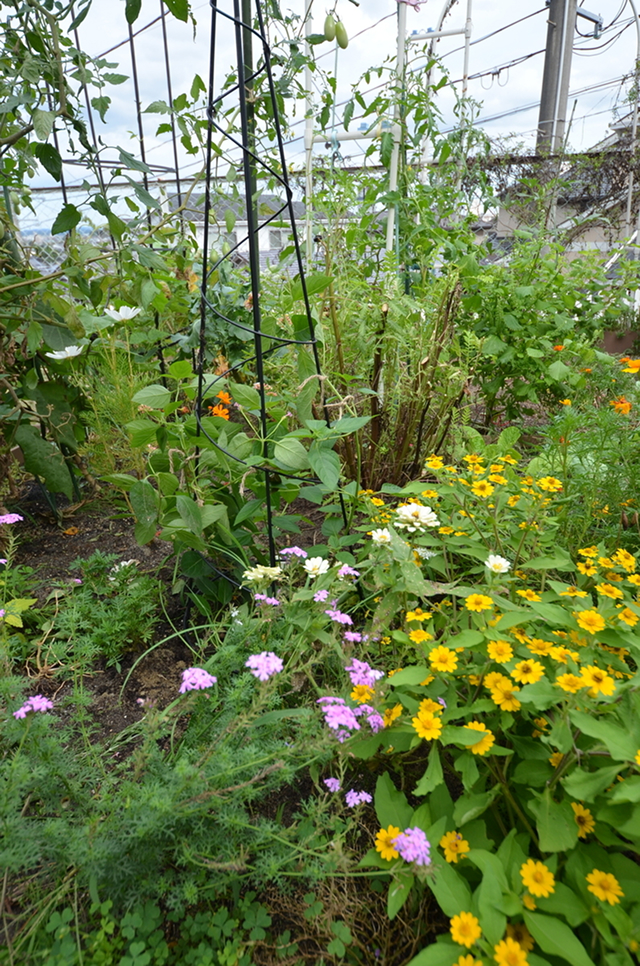 自然と暮らす暮らし